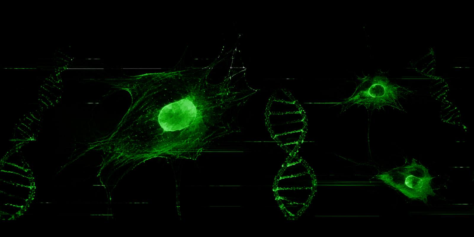 Glowing cells and DNA under a microscope